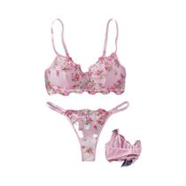 Conjunto De Sutiã Com Arame E Renda Bordada Floral Pequena, Lingerie Transparente Sexy Para