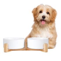 Conjunto de tigelas para cães AHX Ceramic Cat Dog com suporte de madeira antiderrapante