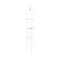 Conjunto De Treliças Para Plantas Trepadeiras, Gaiolas De Suporte Para Jardim, Suporte Para Flores,