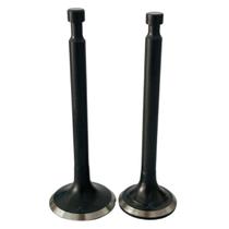 Conjunto De Válvula Para Motor B4T 8.5hp Branco 19216595 Conjunto De Válvula Para Motor B4T 8.5hp Branco 19216595