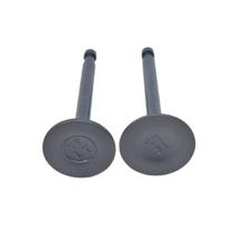 Conjunto de válvulas para motor branco b4t 2,8h Conjunto de válvulas para motor branco b4t 2,8h
