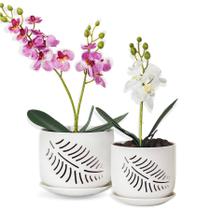 Conjunto de vasos de cerâmica para orquídeas LITUDISO 5" e 6" com furos