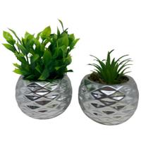 Conjunto de vasos de cerâmica prata com planta