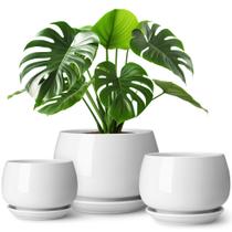 Conjunto de Vasos para Plantas de Cerâmica Vancasso 9,5/12/16 cm para Interior