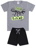 Conjunto de Verão Infantil Masculino Blusa Cinza e Shorts Preto T-Rex - KK Kids Conjunto de Verão Infantil Masculino Blusa Cinza e Shorts Preto T-Rex - KK Kids