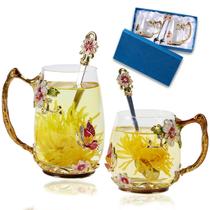 Conjunto de xícaras de chá DUMVOIN Canecas de café de vidro com colher para amantes de chá Conjunto de xícaras de chá DUMVOIN Canecas de café de vidro com colher para amantes de chá