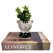 Conjunto decoração livro Londres + vaso cachepot gatinho