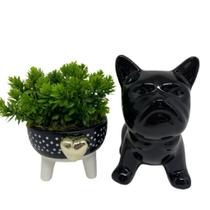 Conjunto decorativo vaso de bolinha e bulldog preto cerâmico