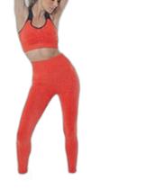 Conjunto Duas Peças Fitness Stadium DeMillus Calça 134 + Top 61226 Microfibra Sem Costuras Páprica