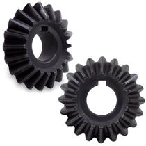 Conjunto Engrenagem Caixa Redução Graneleiro Masal 20 x 20 Conjunto Engrenagem Caixa Redução Graneleiro Masal 20 x 20