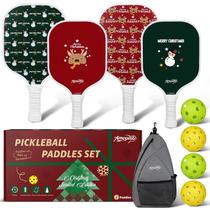 Conjunto Família de 4 Raquetes de Fibra de Vidro Amoswiz para Pickleball Conjunto Família de 4 Raquetes de Fibra de Vidro Amoswiz para Pickleball