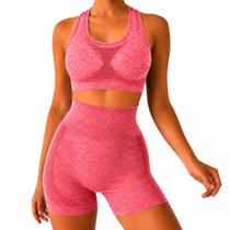 Conjunto Feminino Fitness Top e Short com Tecido Flexível para Esportes e Dia a Dia