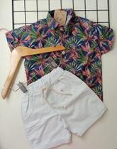 Conjunto floresta Conjunto floresta