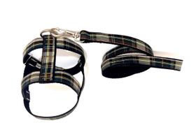 Conjunto guia peitoral 25mm preto tamanho 3 (46cm a 51cm) Conjunto guia peitoral 25mm preto tamanho 3 (46cm a 51cm)