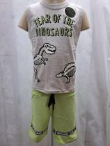 Conjunto Infanntil Dinossauro Brilha No Escuro