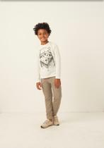 Conjunto Infantil Masculino Camiseta e Calça Moletinho