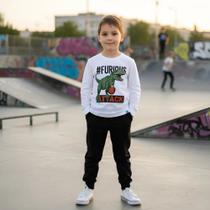 Conjunto Infantil Moletom Estampa Dinossauro Tam 4 a 10 Rei Rex