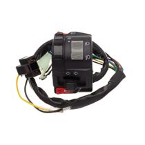 Conjunto Interruptor Luz Condor L.Esquerdo Fazer 250 05 A 10