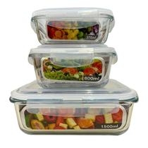 Conjunto Kit Potes Hermético Vidro Freezer Microondas Papinha Marmita Com Tampa Transparente 3 Tamanhos