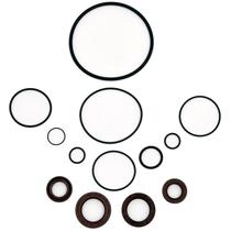 Conjunto Kit Reparo Bomba Direção Hidráulica LUK Acoplada Vácuo Chevrolet Blazer S10 Mercedes Sprinter Nissan Frontier