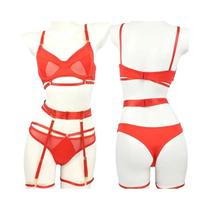 Conjunto Lingerie Feminino Sexy - Sutiã e Calcinha com Liga e Cinto