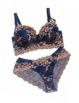 Conjunto Lingerie Plus Size com Bojo Sensual de Renda Luxo Conforto