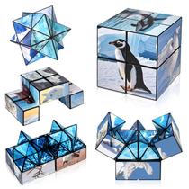 Conjunto Magic Cube Euclidean Cube 2 em 1 de animais árticos/antárticos