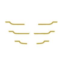 Conjunto Máscara Grade Para MB Atego Estreita Dourada Conjunto Máscara Grade Para MB Atego Estreita Dourada