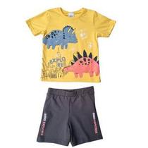 Conjunto Masculino Infantil Camiseta Manga Curta e Bermuda - Elian