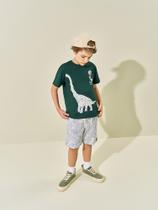 Conjunto Menino Braquiossauro Verde Kippos