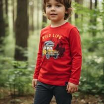 Conjunto Moletom Peluciado Infantil Wild Life Rei Rex