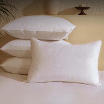 Conjunto padrão de 4 almofadas BHZ Goose Down Feather