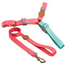 Conjunto Peitoral Antipuxão e Guia para cães Fiji G Conjunto Peitoral Antipuxão e Guia para cães Fiji G