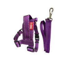 Conjunto Peitoral Colorido com Guia para Cachorro