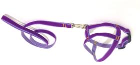 Conjunto Peitoral de Veludo liso roxo tamanho 01