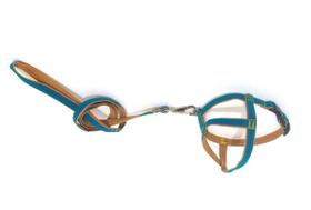 Conjunto Peitoral de Veludo liso verde tamanho 05 Conjunto Peitoral de Veludo liso verde tamanho 05