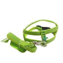 Conjunto Peitoral e Guia de Veludo Para Cachorro - Conforto e Estilo