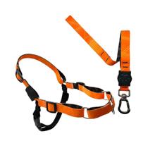 Conjunto peitoral + guia anti puxão inter pró