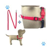 Conjunto peitoral + guia anti puxão pop