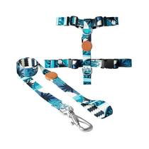 Conjunto Peitoral H e Guia M Noronha para Cães - Conforto e Estilo - Toh - 1 unidade