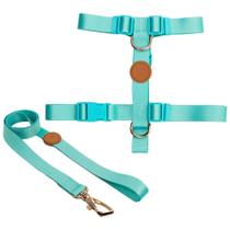 Conjunto Peitoral H e Guia para cães cor Maresia tamanho PP Conjunto Peitoral H e Guia para cães cor Maresia tamanho PP