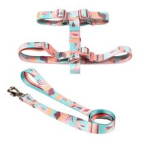 Conjunto Peitoral H Toh Atacama PP