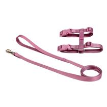 Conjunto Peitoral H Toh Bruma para Gato