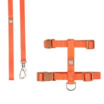 Conjunto Peitoral H Toh Laranja e Caqui para Gato