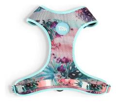 Conjunto Peitoral Mesh Formato H e Guia Tamanho Médio Laguna