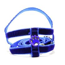Conjunto peitoral nylon Camurça azul nro 3 Coltelli Conjunto peitoral nylon Camurça azul nro 3 Coltelli