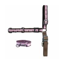 Conjunto Peitoral Nylon Chocolate Nº7 - Coltelli Conjunto Peitoral Nylon Chocolate Nº7 - Coltelli