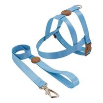 Conjunto Peitoral Tradicional e Guia GG Azul