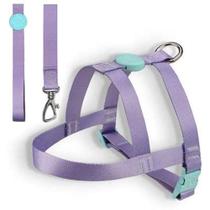 Conjunto Peitoral Tradicional e Guia para Cães - Tamanho M - Cor Lilás