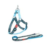 Conjunto Peitoral Walking Ajustável Pescara Pequeno Cães